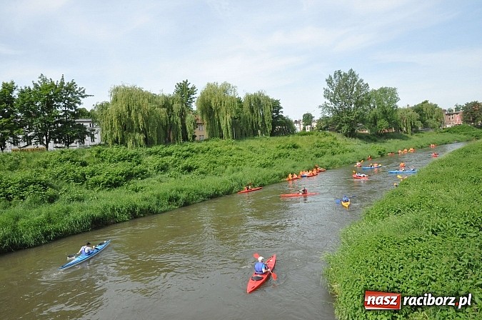 Zdjęcie w galerii na portalu naszraciborz.pl: Po sprintach i slalomie przyszedł czas na odrzańską raciborską pętlę wiadomości z regionu