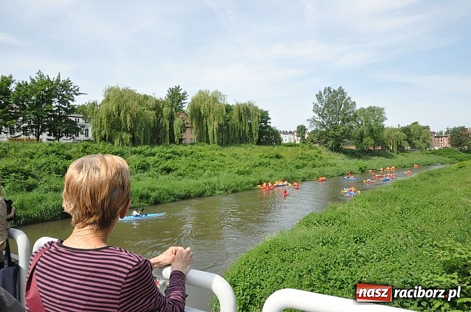 Zdjęcie w galerii na portalu naszraciborz.pl: Po sprintach i slalomie przyszedł czas na odrzańską raciborską pętlę wiadomości z regionu