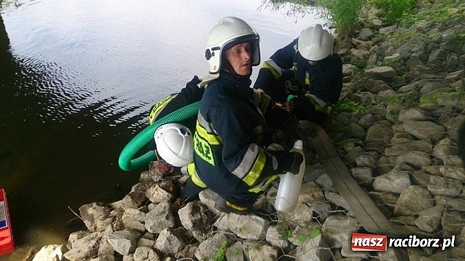 Zdjęcie w galerii na portalu naszraciborz.pl: Manewry przeciwpowodziowe w Turzu wiadomości z regionu
