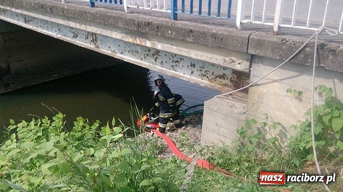 Zdjęcie w galerii na portalu naszraciborz.pl: Manewry przeciwpowodziowe w Turzu wiadomości z regionu