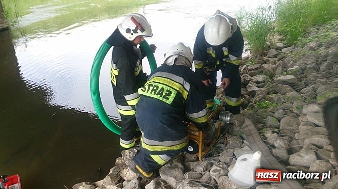 Zdjęcie w galerii na portalu naszraciborz.pl: Manewry przeciwpowodziowe w Turzu wiadomości z regionu