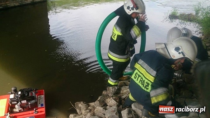 Zdjęcie w galerii na portalu naszraciborz.pl: Manewry przeciwpowodziowe w Turzu wiadomości z regionu