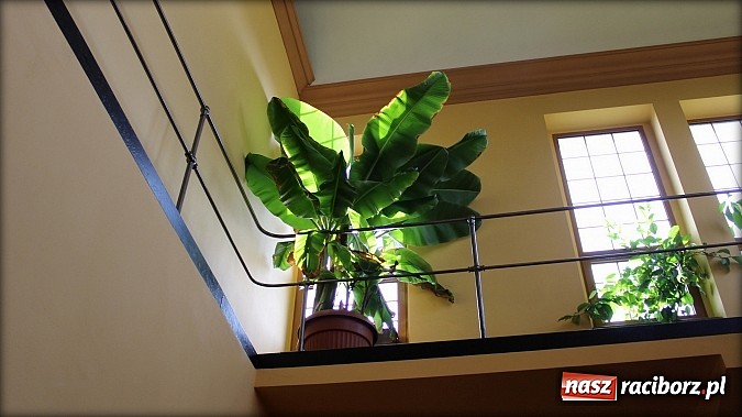 Zdjęcie w galerii na portalu naszraciborz.pl: Tajemnice raciborskich wodociągów w TVP wiadomości z regionu