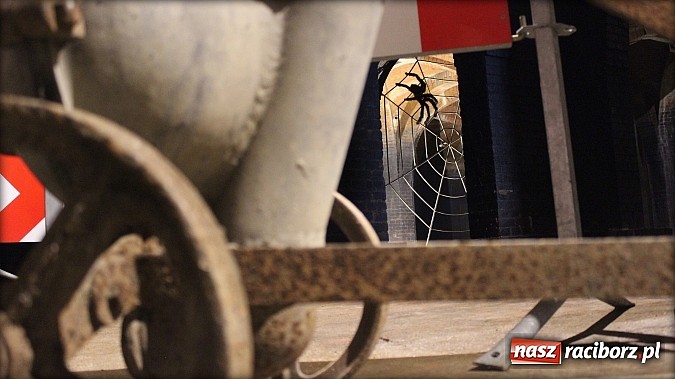 Zdjęcie w galerii na portalu naszraciborz.pl: Tajemnice raciborskich wodociągów w TVP wiadomości z regionu