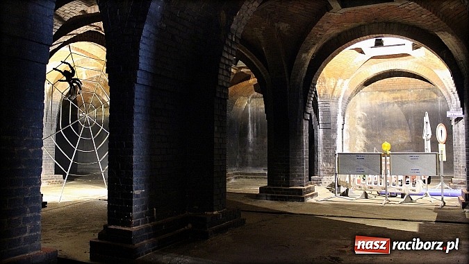 Zdjęcie w galerii na portalu naszraciborz.pl: Tajemnice raciborskich wodociągów w TVP wiadomości z regionu