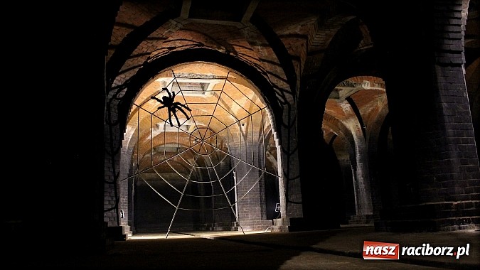 Zdjęcie w galerii na portalu naszraciborz.pl: Tajemnice raciborskich wodociągów w TVP wiadomości z regionu