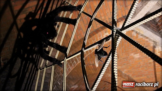 Zdjęcie w galerii na portalu naszraciborz.pl: Tajemnice raciborskich wodociągów w TVP wiadomości z regionu