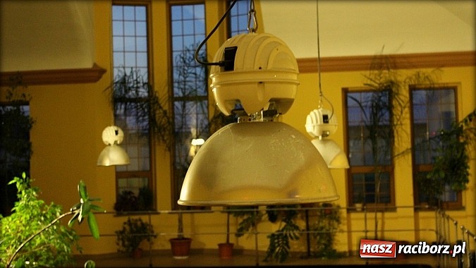 Zdjęcie w galerii na portalu naszraciborz.pl: Tajemnice raciborskich wodociągów w TVP wiadomości z regionu