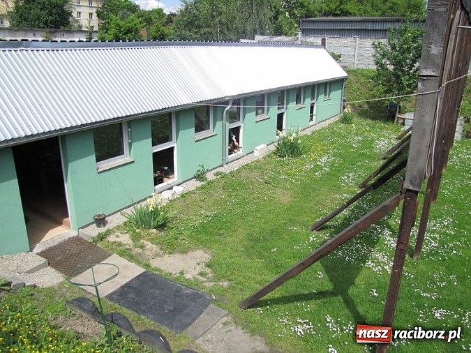 Zdjęcie w galerii na portalu naszraciborz.pl: Studenci bezpieczeństwa państwa ustrzelili Puchar Rektora PWSZ wiadomości z regionu