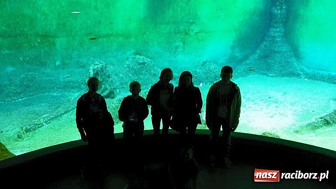 Zdjęcie w galerii na portalu naszraciborz.pl: Uczniowie Gimnazjum nr 5 pojechali do Wrocławia wiadomości z regionu