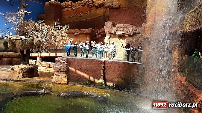 Zdjęcie w galerii na portalu naszraciborz.pl: Uczniowie Gimnazjum nr 5 pojechali do Wrocławia wiadomości z regionu