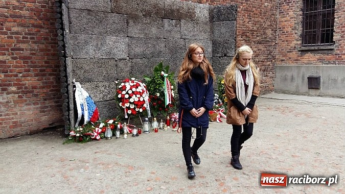 Zdjęcie w galerii na portalu naszraciborz.pl: Wycieczka edukacyjna uczniów G 5 do Oświęcimia wiadomości z regionu