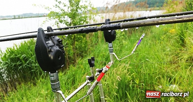 Zdjęcie w galerii na portalu naszraciborz.pl: Drużyny karpiowe z całego regionu na zawodach w Nędzy wiadomości z regionu