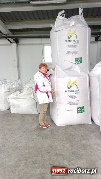 Zdjęcie w galerii na portalu naszraciborz.pl: Gimnazjum im. Jana Pawła II w Kornowacu z wizytą Comeniusa na Łotwie wiadomości z regionu