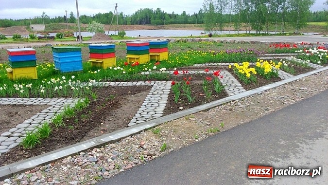 Zdjęcie w galerii na portalu naszraciborz.pl: Gimnazjum im. Jana Pawła II w Kornowacu z wizytą Comeniusa na Łotwie wiadomości z regionu