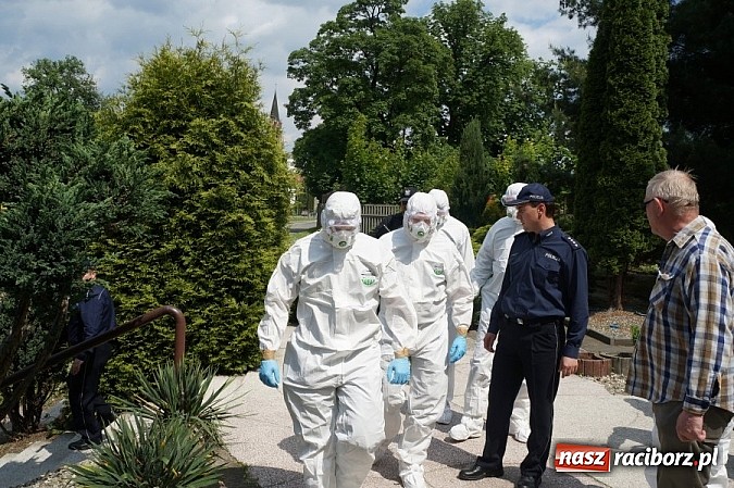 Zdjęcie w galerii na portalu naszraciborz.pl: Raciborskie ćwiczenia na wypadek epidemii eboli wiadomości z regionu