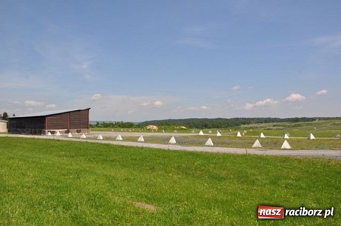 Zdjęcie w galerii na portalu naszraciborz.pl: Rozpoczęto projekt Odra - rzeka, która łączy. 900 kilometrów rowerowej trasy! wiadomości z regionu