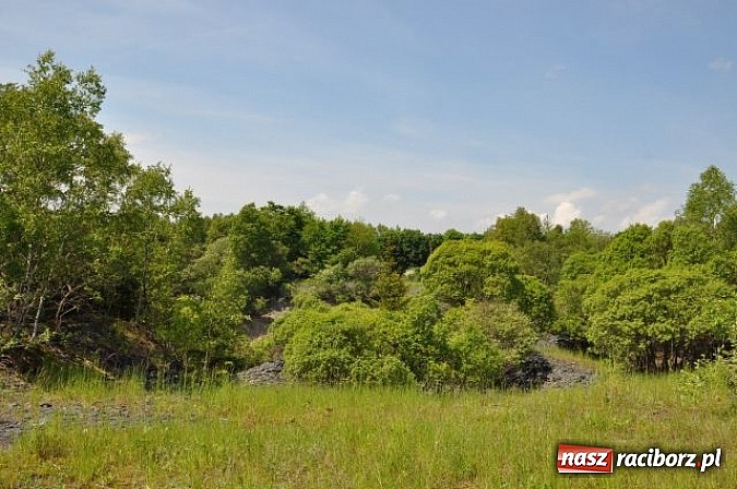 Zdjęcie w galerii na portalu naszraciborz.pl: Rozpoczęto projekt Odra - rzeka, która łączy. 900 kilometrów rowerowej trasy! wiadomości z regionu