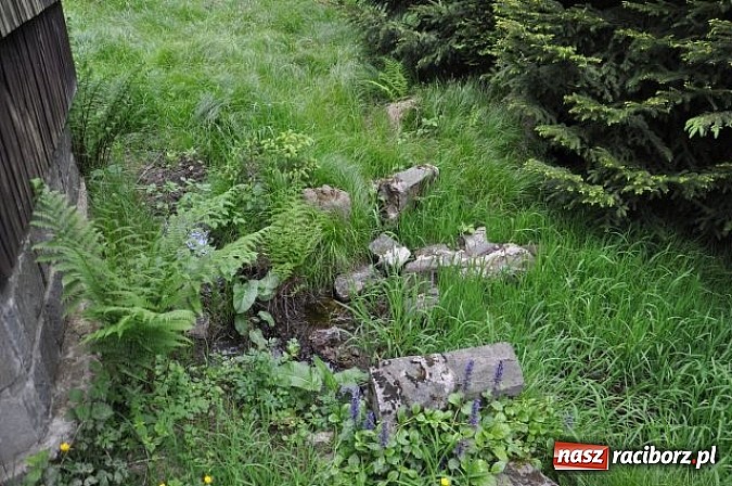 Zdjęcie w galerii na portalu naszraciborz.pl: Rozpoczęto projekt Odra - rzeka, która łączy. 900 kilometrów rowerowej trasy! wiadomości z regionu