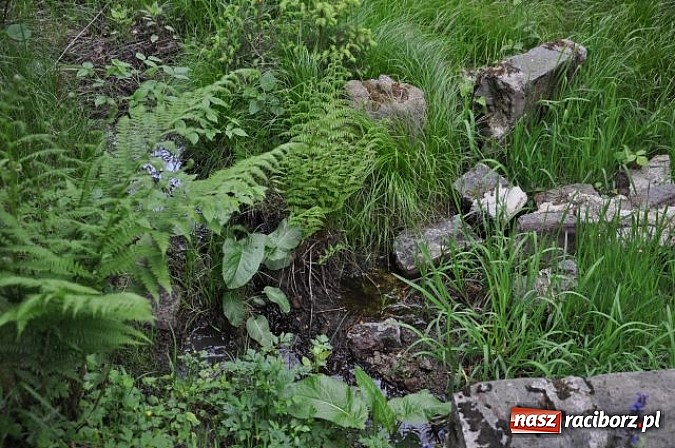 Zdjęcie w galerii na portalu naszraciborz.pl: Rozpoczęto projekt Odra - rzeka, która łączy. 900 kilometrów rowerowej trasy! wiadomości z regionu