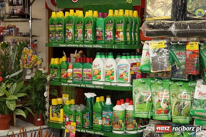 Zdjęcie w galerii na portalu naszraciborz.pl: Centrum Rea - Twoje centrum zakup&oacute;w wiadomości z regionu