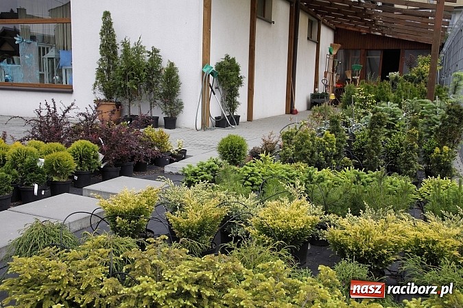 Zdjęcie w galerii na portalu naszraciborz.pl: Centrum Rea - Twoje centrum zakup&oacute;w wiadomości z regionu