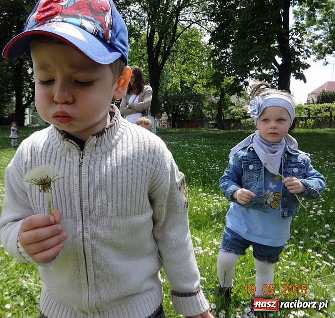 Zdjęcie w galerii na portalu naszraciborz.pl: Majówki w raciborskim Fiku-miku wiadomości z regionu
