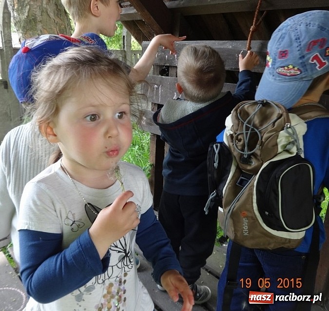 Zdjęcie w galerii na portalu naszraciborz.pl: Majówki w raciborskim Fiku-miku wiadomości z regionu