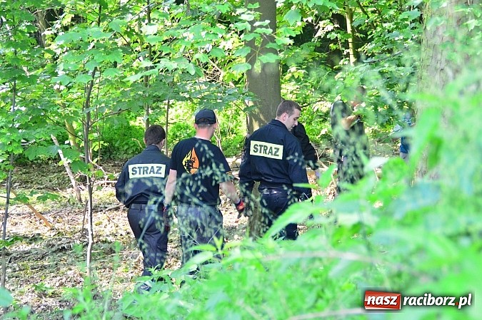 Zdjęcie w galerii na portalu naszraciborz.pl: W Czerwięcicach w gminie Rudnik odnaleziono zwłoki zaginionego 55-latka wiadomości z regionu