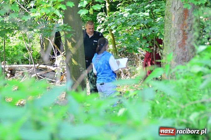 Zdjęcie w galerii na portalu naszraciborz.pl: W Czerwięcicach w gminie Rudnik odnaleziono zwłoki zaginionego 55-latka wiadomości z regionu