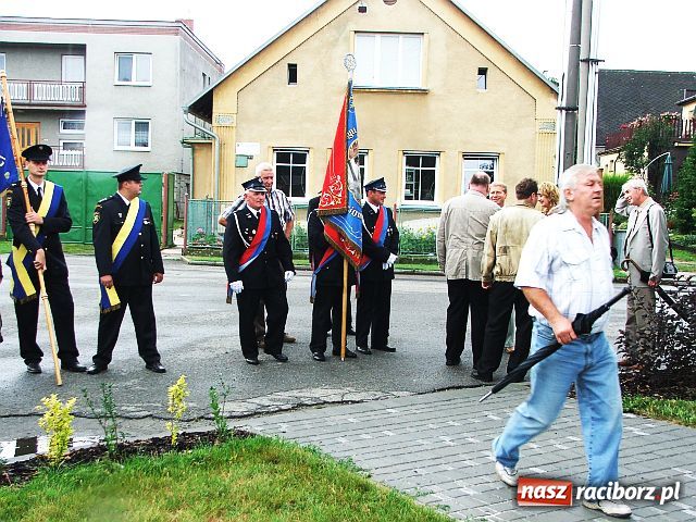 Zdjęcie w galerii na portalu naszraciborz.pl: Drzewa przy Moście Przyjaźni wiadomości z regionu