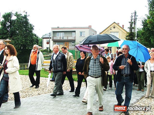 Zdjęcie w galerii na portalu naszraciborz.pl: Drzewa przy Moście Przyjaźni wiadomości z regionu