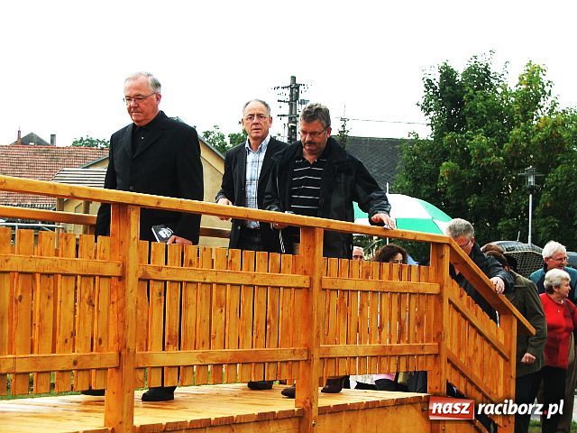 Zdjęcie w galerii na portalu naszraciborz.pl: Drzewa przy Moście Przyjaźni wiadomości z regionu