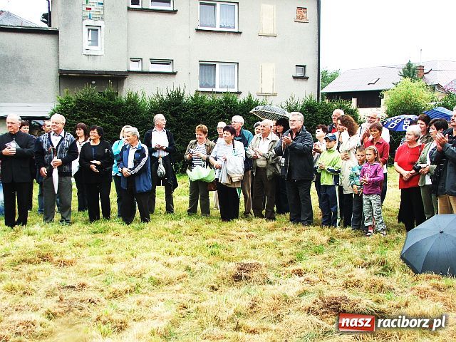 Zdjęcie w galerii na portalu naszraciborz.pl: Drzewa przy Moście Przyjaźni wiadomości z regionu