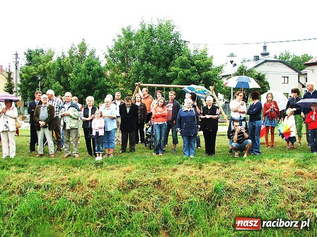 Zdjęcie w galerii na portalu naszraciborz.pl: Drzewa przy Moście Przyjaźni wiadomości z regionu