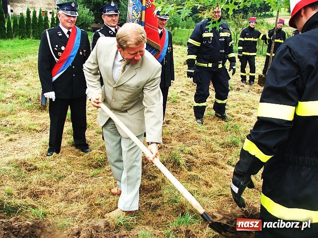 Zdjęcie w galerii na portalu naszraciborz.pl: Drzewa przy Moście Przyjaźni wiadomości z regionu