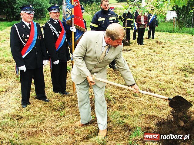 Zdjęcie w galerii na portalu naszraciborz.pl: Drzewa przy Moście Przyjaźni wiadomości z regionu