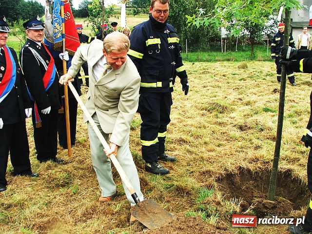Zdjęcie w galerii na portalu naszraciborz.pl: Drzewa przy Moście Przyjaźni wiadomości z regionu