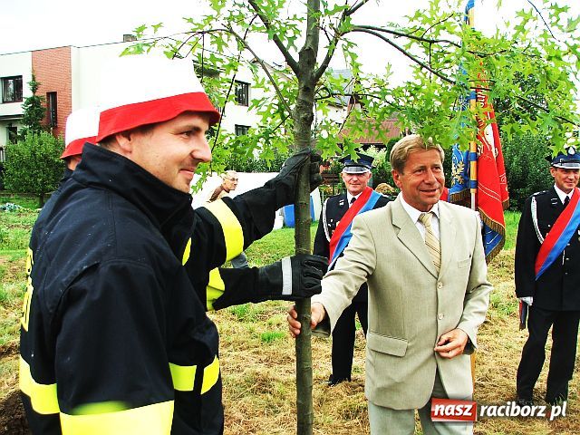 Zdjęcie w galerii na portalu naszraciborz.pl: Drzewa przy Moście Przyjaźni wiadomości z regionu