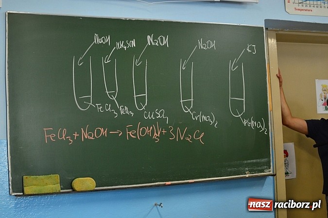 Zdjęcie w galerii na portalu naszraciborz.pl: W Zespole Szkół Zawodowych zorganizowano warsztaty kryminalistyczne dla gimnazjalistów wiadomości z regionu