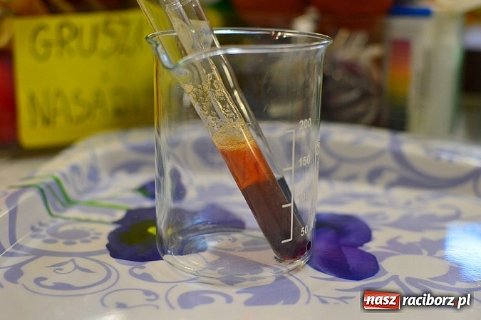 Zdjęcie w galerii na portalu naszraciborz.pl: W Zespole Szkół Zawodowych zorganizowano warsztaty kryminalistyczne dla gimnazjalistów wiadomości z regionu