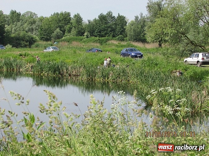 Zdjęcie w galerii na portalu naszraciborz.pl: Wędkarski Dzień Dziecka na łowisku Ostróg wiadomości z regionu