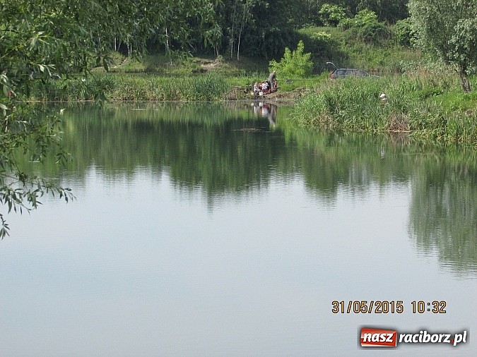 Zdjęcie w galerii na portalu naszraciborz.pl: Wędkarski Dzień Dziecka na łowisku Ostróg wiadomości z regionu