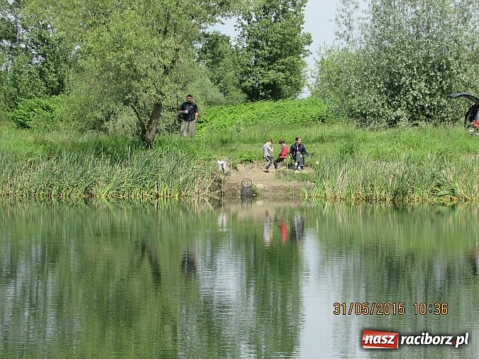 Zdjęcie w galerii na portalu naszraciborz.pl: Wędkarski Dzień Dziecka na łowisku Ostróg wiadomości z regionu