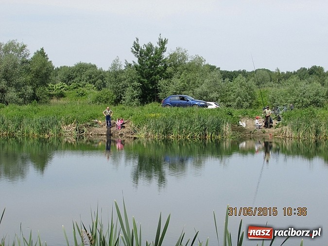Zdjęcie w galerii na portalu naszraciborz.pl: Wędkarski Dzień Dziecka na łowisku Ostróg wiadomości z regionu