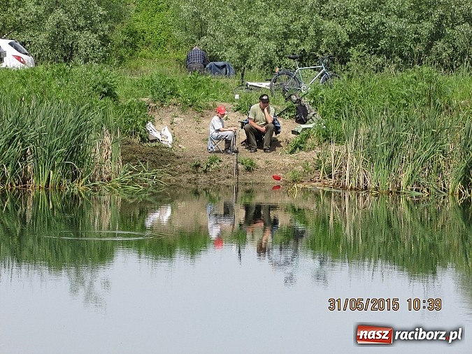Zdjęcie w galerii na portalu naszraciborz.pl: Wędkarski Dzień Dziecka na łowisku Ostróg wiadomości z regionu