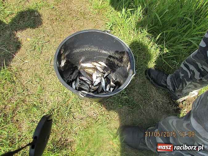 Zdjęcie w galerii na portalu naszraciborz.pl: Wędkarski Dzień Dziecka na łowisku Ostróg wiadomości z regionu