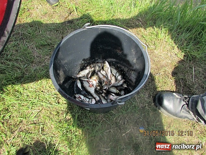 Zdjęcie w galerii na portalu naszraciborz.pl: Wędkarski Dzień Dziecka na łowisku Ostróg wiadomości z regionu