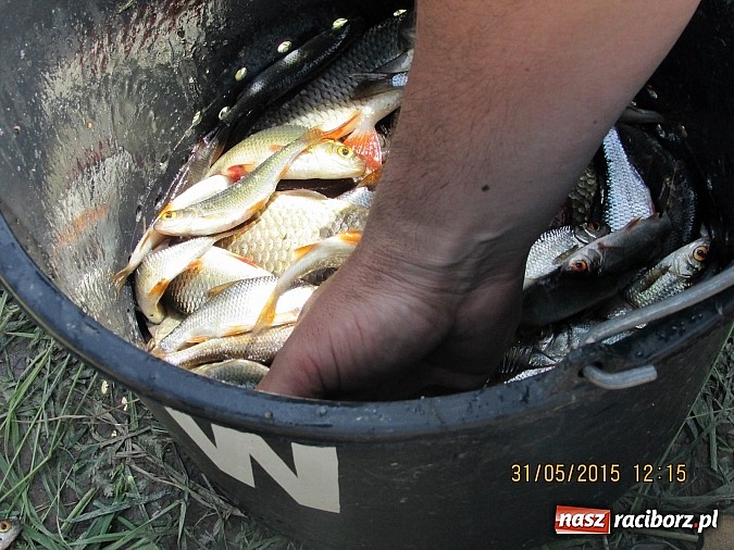 Zdjęcie w galerii na portalu naszraciborz.pl: Wędkarski Dzień Dziecka na łowisku Ostróg wiadomości z regionu