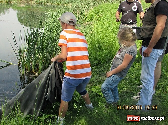 Zdjęcie w galerii na portalu naszraciborz.pl: Wędkarski Dzień Dziecka na łowisku Ostróg wiadomości z regionu